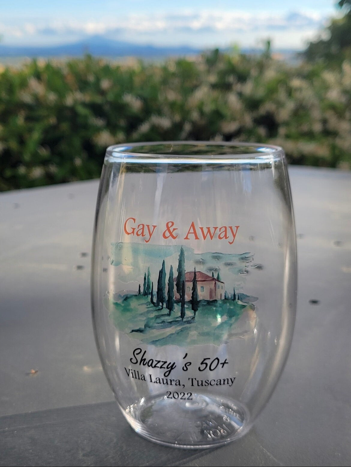16oz personalized stemless plastic wine glasses, custom printed, wedding crest, watercolor design, family crest, cocktail glasses, reunion